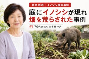 北九州のイノシシ駆除事例｜庭と畑の被害対策