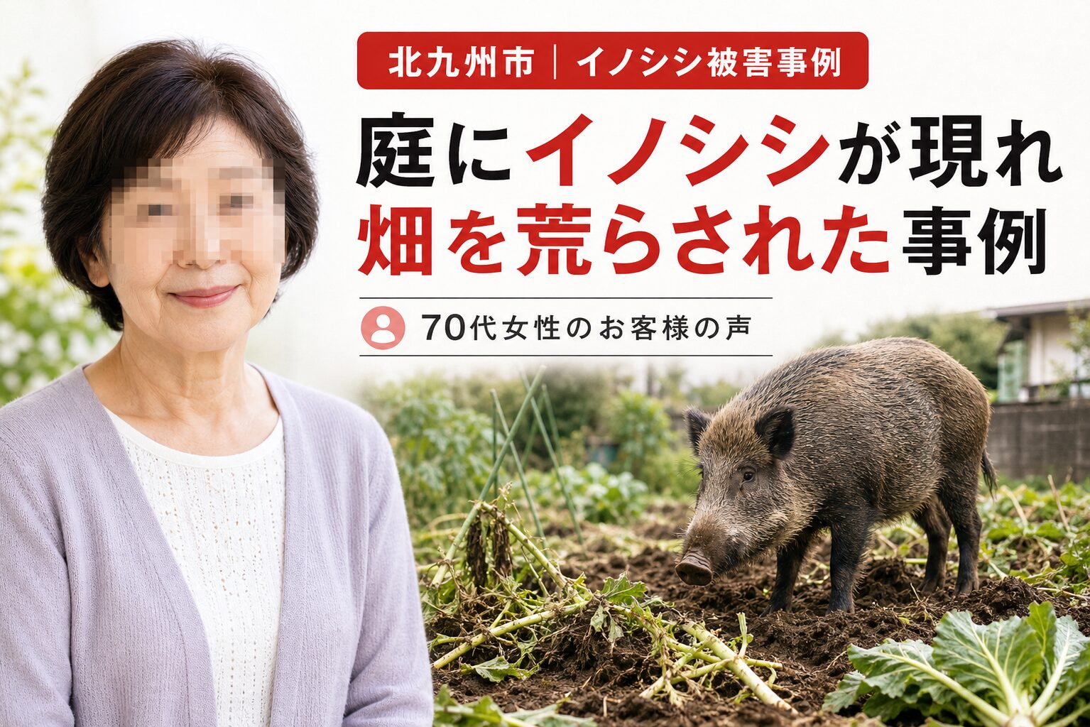 北九州のイノシシ駆除事例｜庭と畑の被害対策