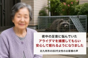 北九州のアライグマ駆除事例｜屋根裏に親子が侵入