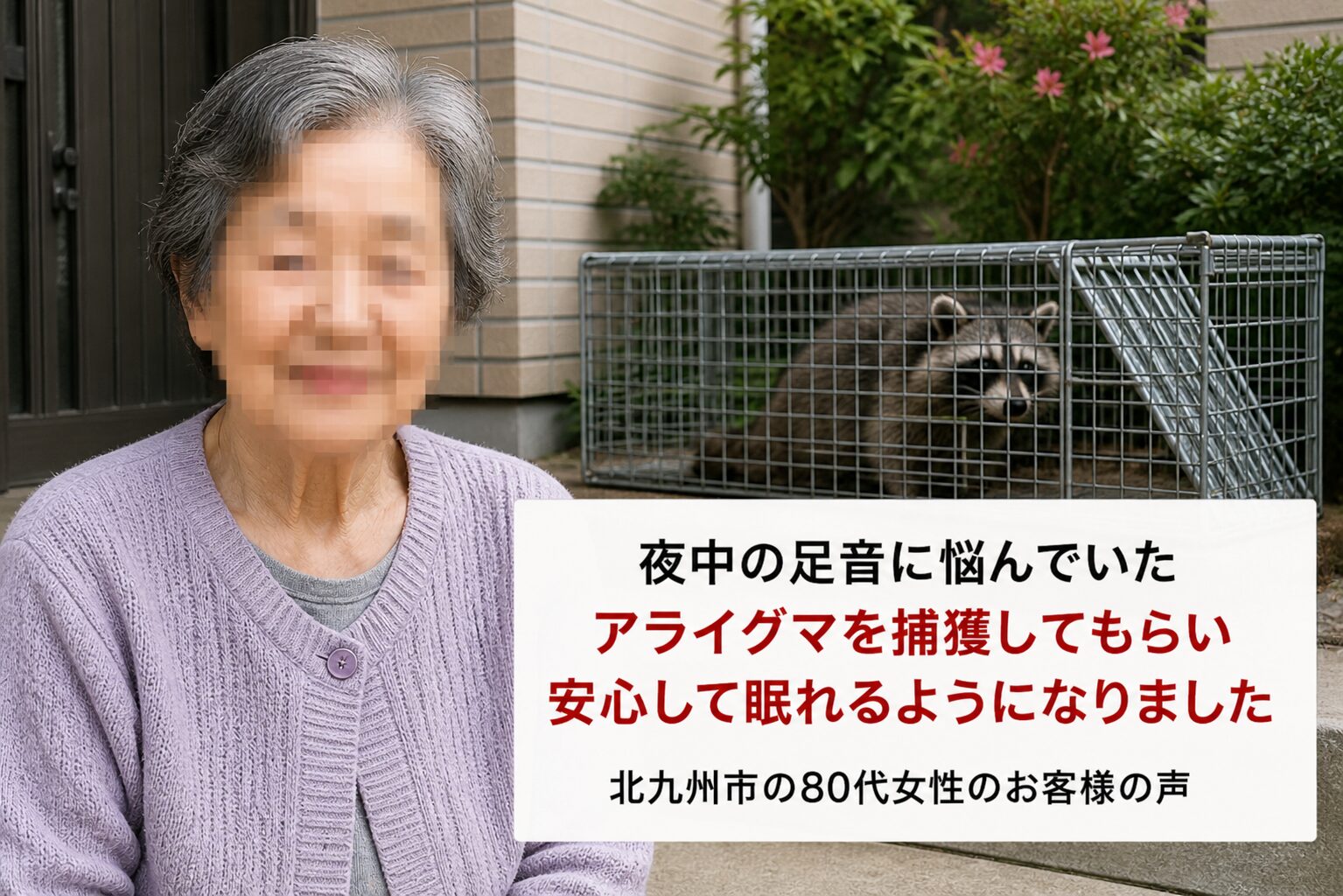 北九州のアライグマ駆除事例｜屋根裏に親子が侵入