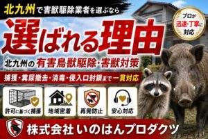 北九州の害獣駆除で選ばれる理由
