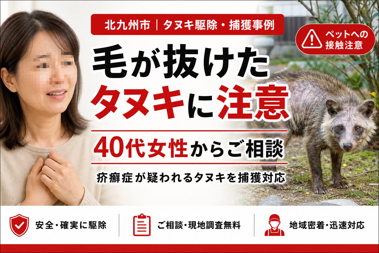 北九州のタヌキ駆除事例｜疥癬症とペット感染に注意