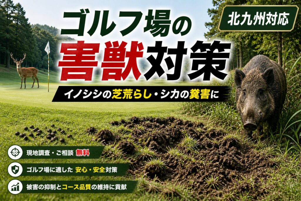 北九州のゴルフ場向け害獣駆除｜イノシシ・シカ対策
