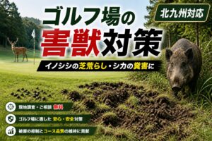 北九州のゴルフ場向け害獣駆除｜イノシシ・シカ対策