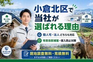小倉北区の害獣被害を根本解決