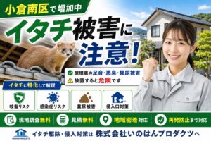 小倉南区で増えるイタチ被害｜屋根裏の足音・悪臭・糞尿被害に注意