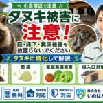 小倉南区でタヌキ被害に注意｜庭・床下・屋根裏