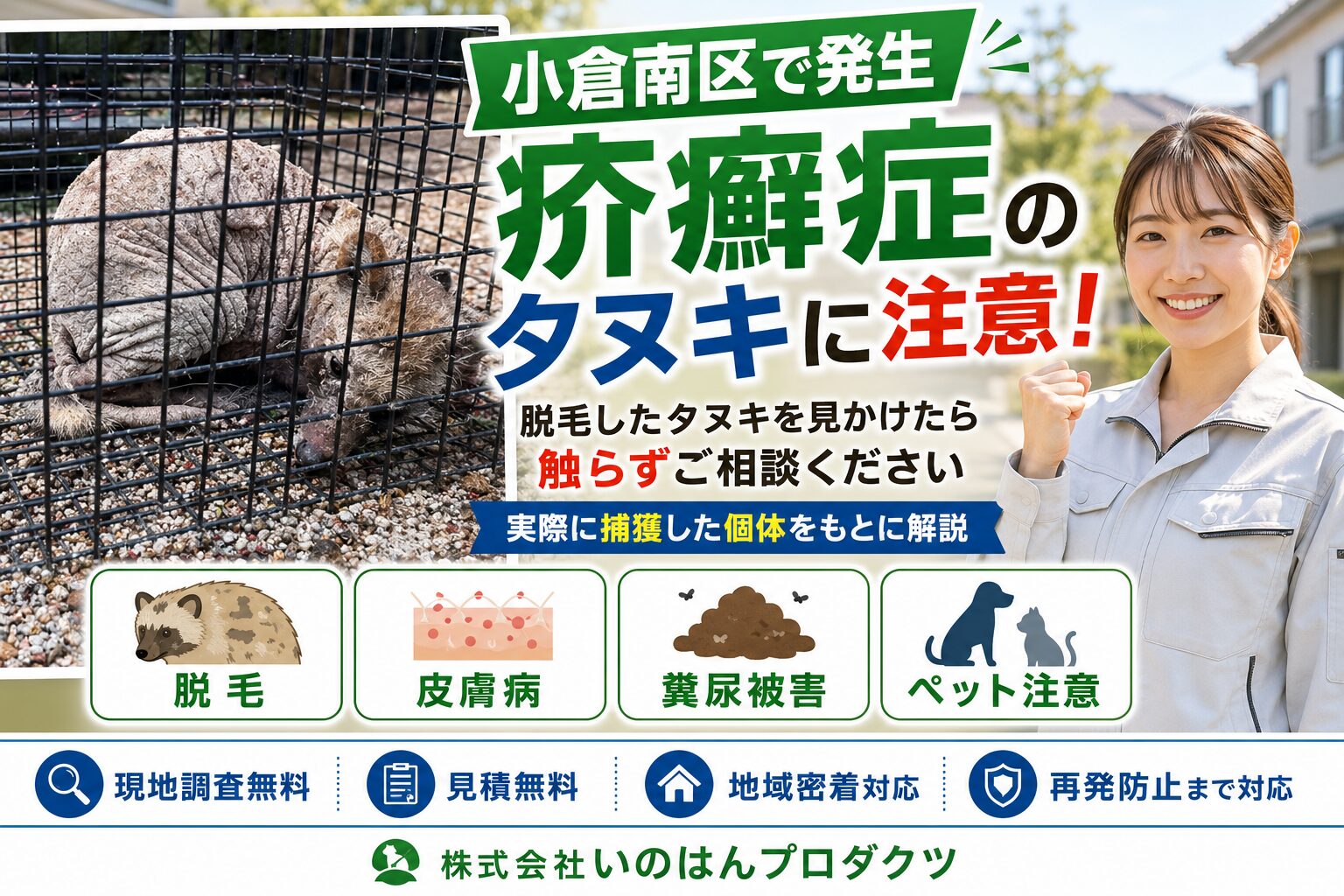小倉南区で疥癬タヌキを捕獲