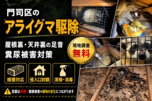 門司区のアライグマ駆除｜屋根裏・天井裏の足音や糞尿被害対策