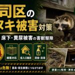 門司区のタヌキ被害対策｜庭・畑・床下・糞尿被害の害獣駆除