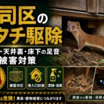 門司区のイタチ駆除｜屋根裏・天井裏・床下の足音や糞尿被害対策