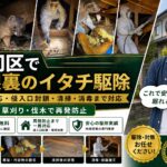 門司区でイタチ駆除のご依頼｜屋根裏・天井裏の足音調査と侵入口封鎖